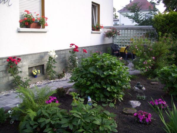 Hotel Pension Wiesenau Salzhausen Екстериор снимка